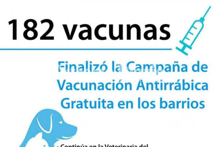 Imagen de Exitosa campaña de vacunación antirrábica en General Lagos: