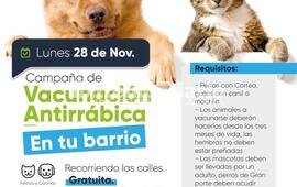 Imagen de Nueva jornada de vacunaci&oacute;n antirr&aacute;bica en Fighiera