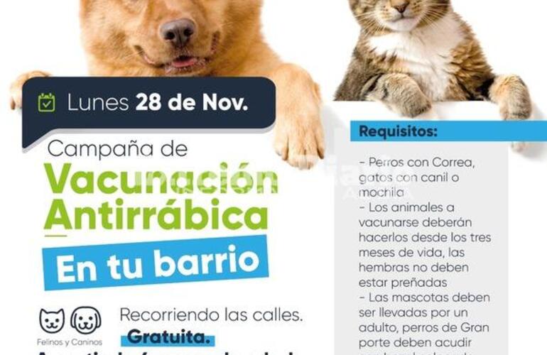 Imagen de Nueva jornada de vacunaci&oacute;n antirr&aacute;bica en Fighiera