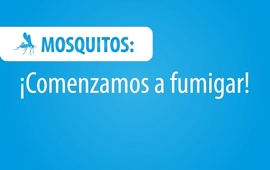 La comuna fumiga, pero los vecinos deber&aacute;n colaborar.