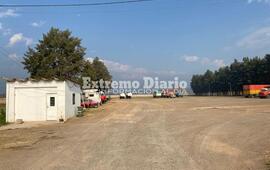 Enviar&iacute;an a los equinos al predio del acceso norte.