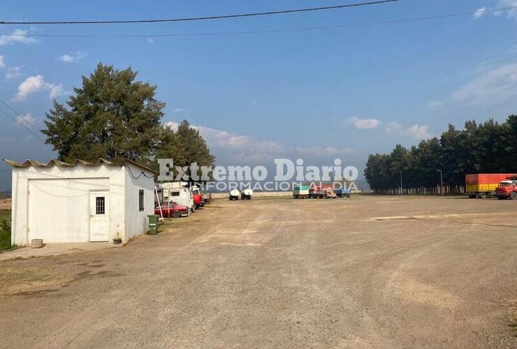 Enviarían a los equinos al predio del acceso norte.