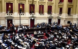Legisladores en la sesi&oacute;n de este jueves en el Congreso nacional. (@DiputadosAR)