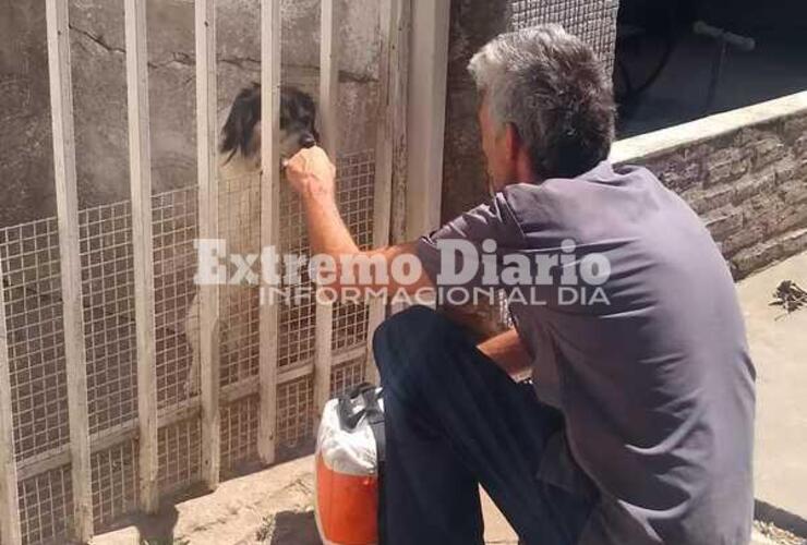 Imagen de Vacunación antirrábica en el barrio Azul de Fighiera