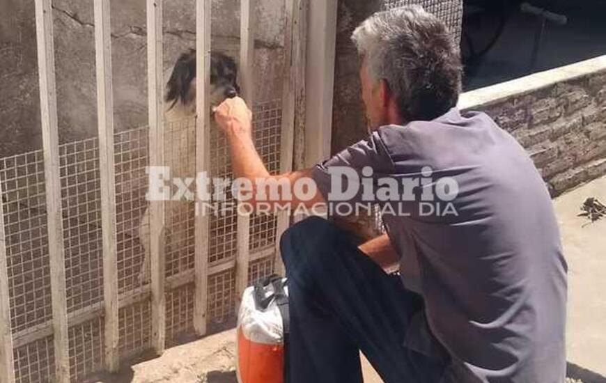 Imagen de Vacunaci&oacute;n antirr&aacute;bica en el barrio Azul de Fighiera