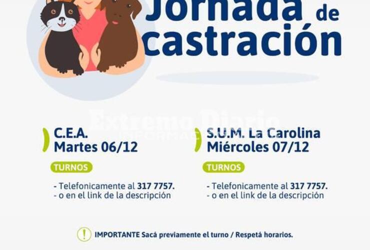 Imagen de Jornadas de castraciones en Alvear