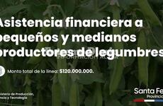 Imagen de Pavón: Asistencia financiera a pequeños y medianos productores de legumbres