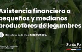 Imagen de Pav&oacute;n: Asistencia financiera a peque&ntilde;os y medianos productores de legumbres