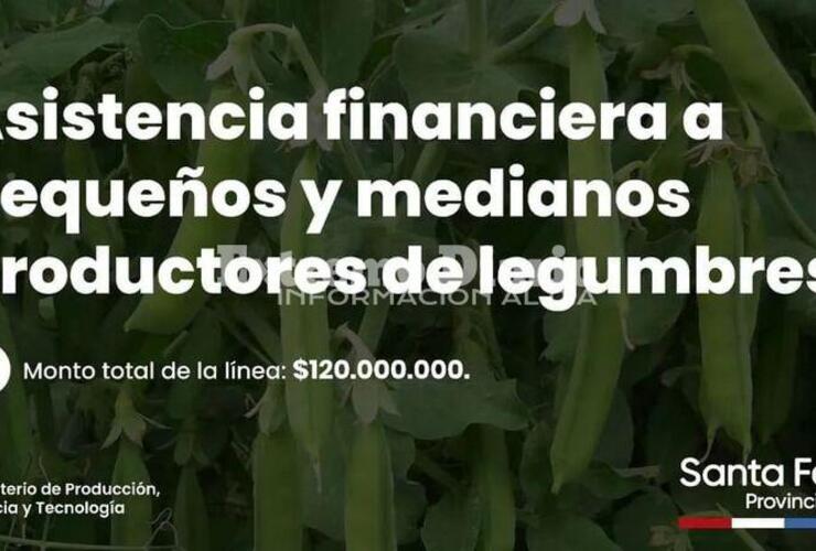 Imagen de Pavón: Asistencia financiera a pequeños y medianos productores de legumbres