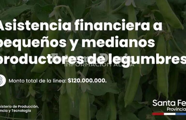 Imagen de Pavón: Asistencia financiera a pequeños y medianos productores de legumbres
