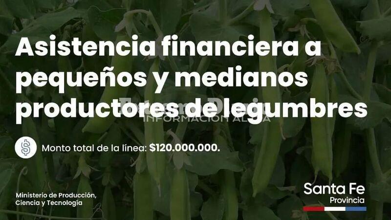 Imagen de Pav&oacute;n: Asistencia financiera a peque&ntilde;os y medianos productores de legumbres