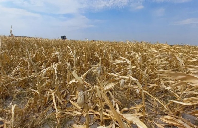 Imagen de Santa Fe pide ayuda para afrontar los efectos de la sequía