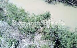 Imagen de Juntaron firmas por la contaminaci&oacute;n del arroyo Fr&iacute;as