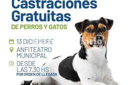 Imagen de Campa&ntilde;a de castraciones gratuitas en Arroyo Seco