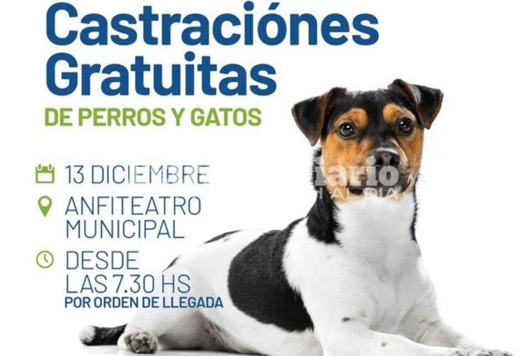 Imagen de Campaña de castraciones gratuitas en Arroyo Seco