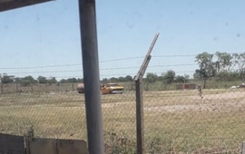 La imagen fue tomada por una vecina.
