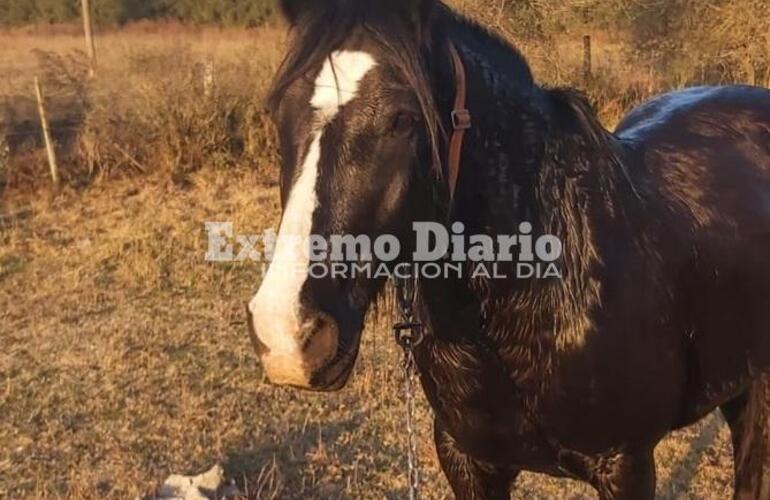 Imagen de Robaron un equipo y la denuncia se radic&oacute; en la Sub 11&deg;.