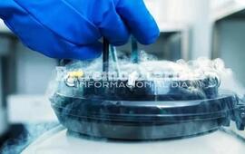 Imagen de Autorizan a una mujer a gestar un hijo con una fertilizaci&oacute;n post mortem