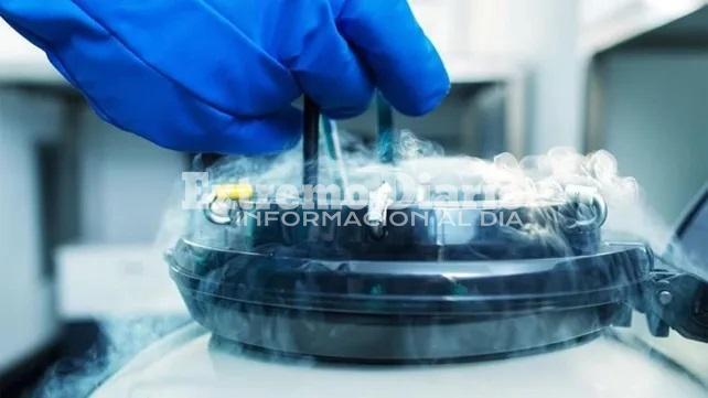 Imagen de Autorizan a una mujer a gestar un hijo con una fertilizaci&oacute;n post mortem