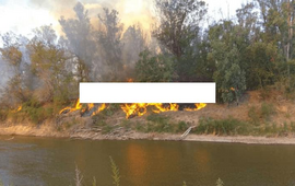Imagen de La bajante del Paran&aacute; se profundiza y arde la costa del Carcara&ntilde;&aacute;