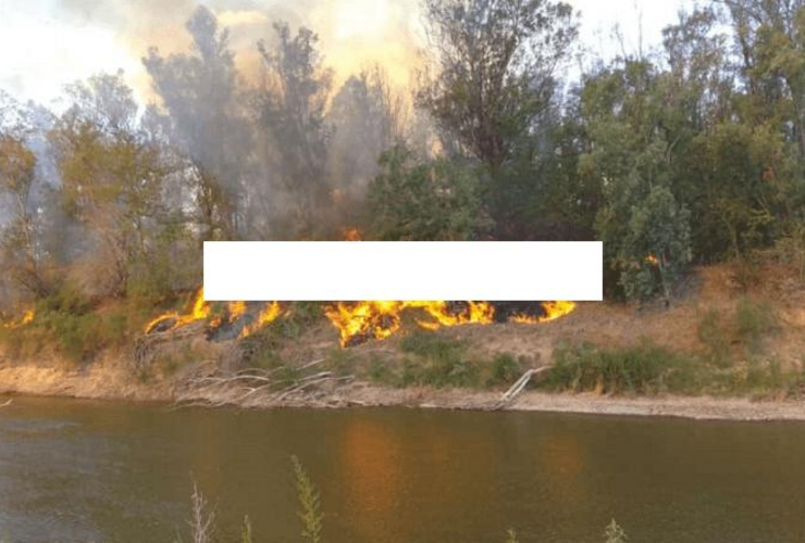 Imagen de La bajante del Paraná se profundiza y arde la costa del Carcarañá