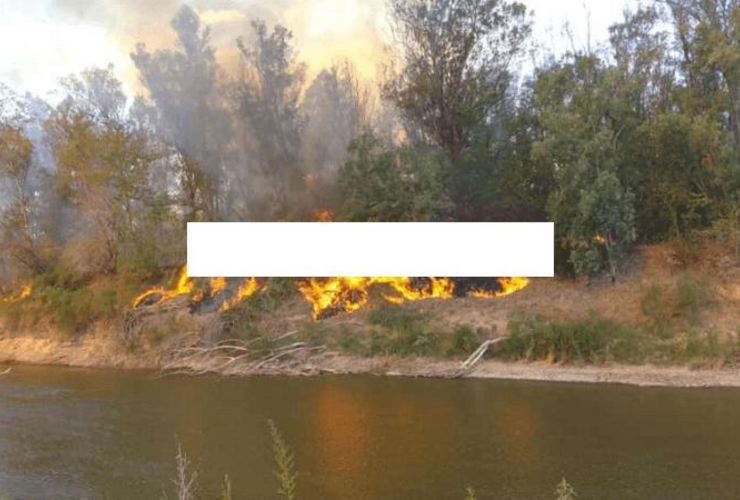 Imagen de La bajante del Paran&aacute; se profundiza y arde la costa del Carcara&ntilde;&aacute;