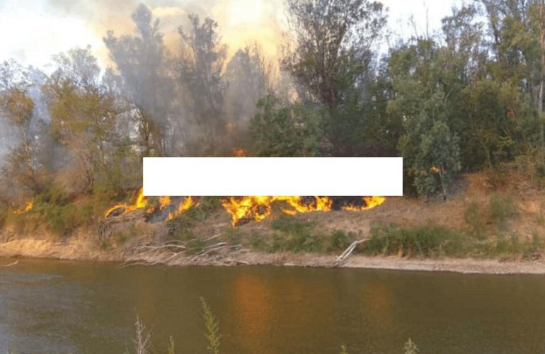 Imagen de La bajante del Paraná se profundiza y arde la costa del Carcarañá