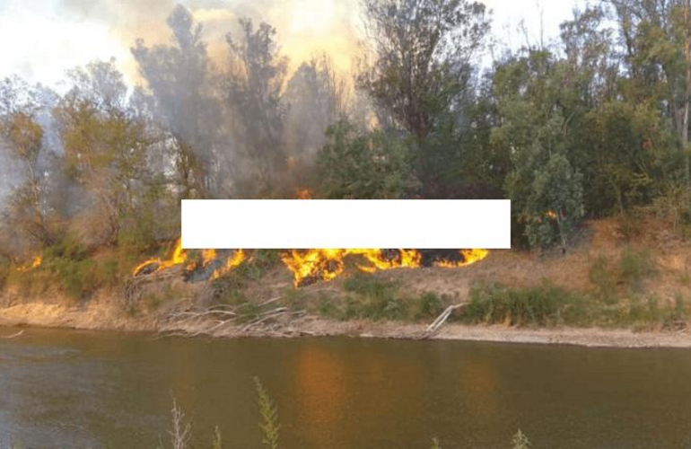 Imagen de La bajante del Paran&aacute; se profundiza y arde la costa del Carcara&ntilde;&aacute;