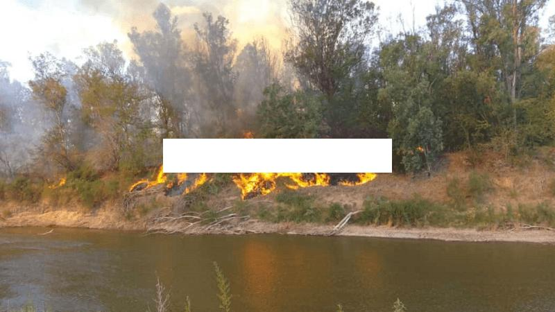 Imagen de La bajante del Paran&aacute; se profundiza y arde la costa del Carcara&ntilde;&aacute;