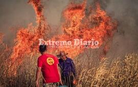 Imagen de Incendios en las islas: Naci&oacute;n crea una nueva Unidad de Prevenci&oacute;n de Delitos Ambientales