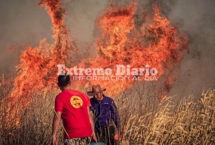 Imagen de Incendios en las islas: Nación crea una nueva Unidad de Prevención de Delitos Ambientales