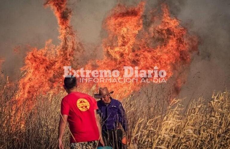 Imagen de Incendios en las islas: Nación crea una nueva Unidad de Prevención de Delitos Ambientales