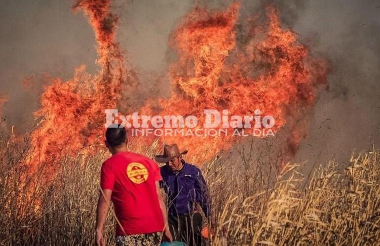 Imagen de Incendios en las islas: Naci&oacute;n crea una nueva Unidad de Prevenci&oacute;n de Delitos Ambientales