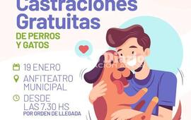 Imagen de Campa&ntilde;a de castraciones gratuitas de perros y gatos