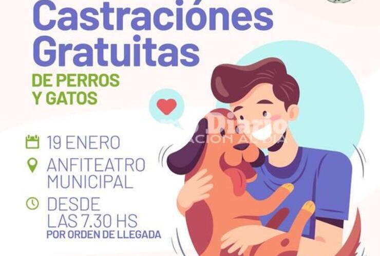 Imagen de Campaña de castraciones gratuitas de perros y gatos