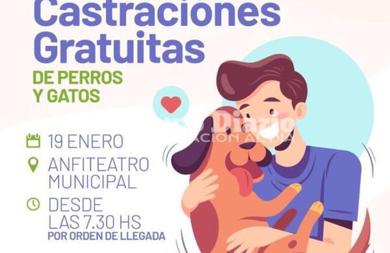 Imagen de Campaña de castraciones gratuitas de perros y gatos