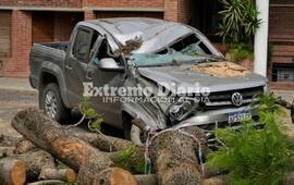 Imagen de Un &aacute;rbol de gran porte del parque Urquiza cay&oacute; y destroz&oacute; una camioneta