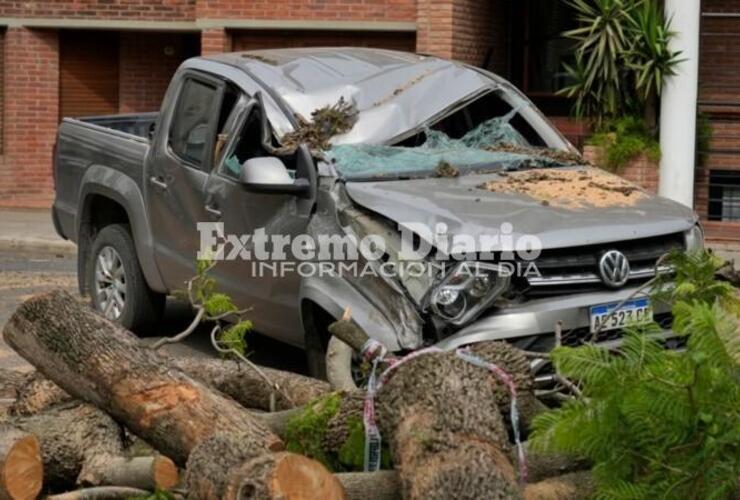 Imagen de Un árbol de gran porte del parque Urquiza cayó y destrozó una camioneta