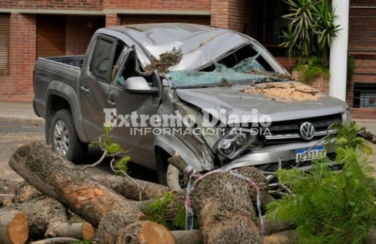 Imagen de Un árbol de gran porte del parque Urquiza cayó y destrozó una camioneta