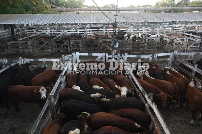 Imagen de Carne: subi&oacute; el precio de la hacienda y se espera un traslado al mostrador