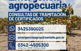 Imagen de Emergencia Agropecuaria: Consultas de tramitación de certificados