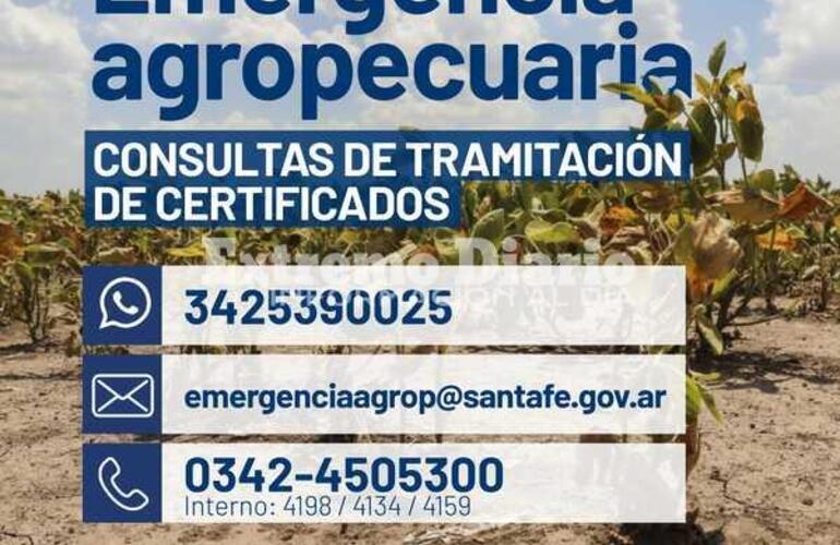 Imagen de Emergencia Agropecuaria: Consultas de tramitación de certificados