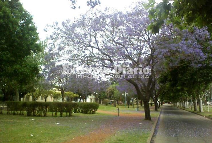 Imagen de Calor y humedad antes de la lluvia