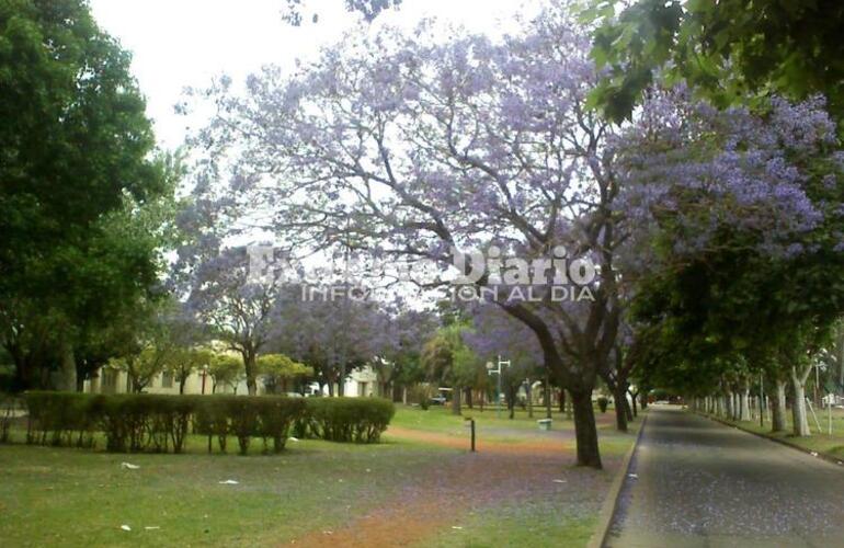 Imagen de Calor y humedad antes de la lluvia