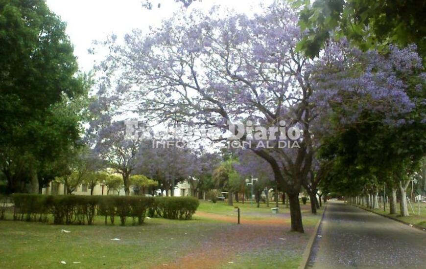 Imagen de Calor y humedad antes de la lluvia