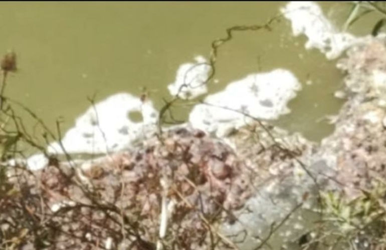 Se realizaron an&aacute;lisis que, a priori, no dieron buenos resultados.