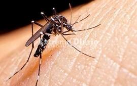 Imagen de Confirmaron 9 casos de dengue aut&oacute;ctono y uno importado en la provincia
