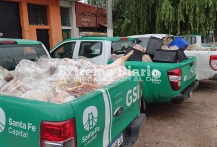 Imagen de Otra vez, decomisaron seis toneladas de carne en mal estado en Santa Fe