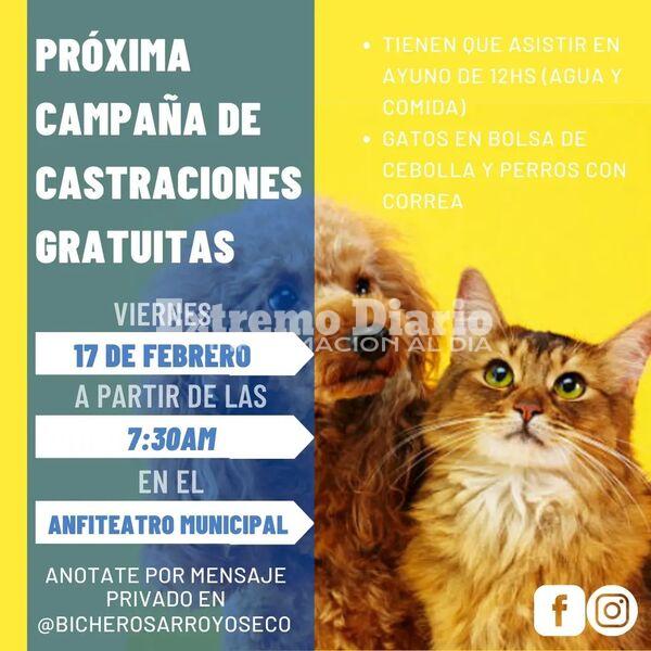 Imagen de Nueva jornada de castraciones gratuitas en Arroyo Seco