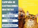Imagen de Nueva jornada de castraciones gratuitas en Arroyo Seco
